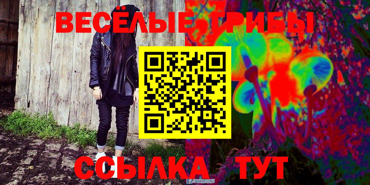 Галлюциногенные грибы MAGIC MUSHROOMS  Вход с VPN  Россошь 