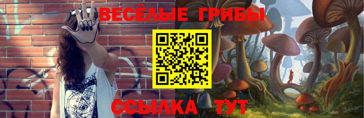 Галлюциногенные грибы Psilocybe Россошь
